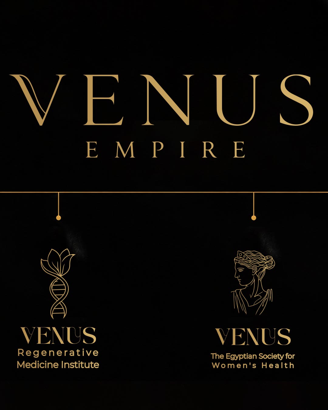 Venus ecosystem architecture